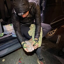 Daniel Böcker - Christine-Koch-Weg (X 18)