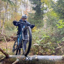 Daniel Böcker - Christine-Koch-Weg (X 18)