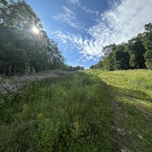 Justin Lewandowski - The Alpine Slide (NJ)