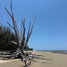 Sarah Foster - Thorsborne Trail