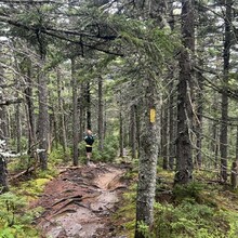 Erica Notini, Riley McGurn - Slippery Brook - Baldface Loop (NH)