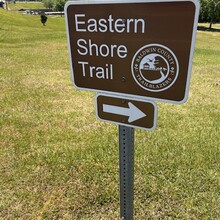 Sofia Harnedy - Eastern Shore Trail