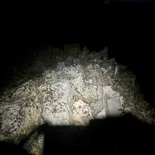 Brent Herring - The La Plata Enchilada (CO)