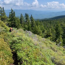 Erica Notini, Robert Rives - Wild River Loop (NH)