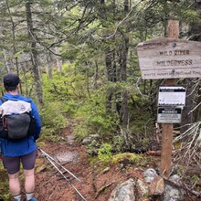 Erica Notini, Riley McGurn - Slippery Brook - Baldface Loop (NH)