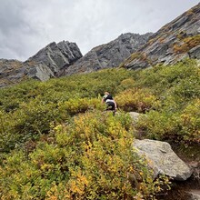 Erica Notini, Lance Parker - Swan Song / Gulf Song Loop (NH)
