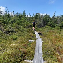 Erica Notini, Robert Rives - Wild River Loop (NH)