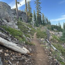 Jessica Pekari - Pacific Crest Trail through OR (OR)