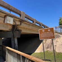 Sofia Harnedy - Eastern Shore Trail