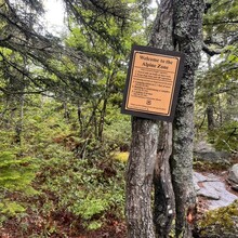 Erica Notini, Riley McGurn - Slippery Brook - Baldface Loop (NH)