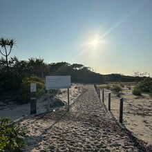 Sarah Foster - Thorsborne Trail