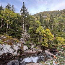 Erica Notini, Lance Parker - Swan Song / Gulf Song Loop (NH)