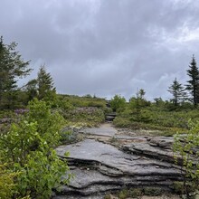 Erica Notini, Riley McGurn - Slippery Brook - Baldface Loop (NH)