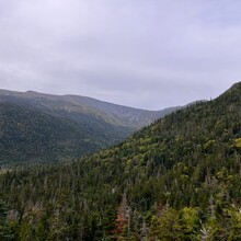 Erica Notini, Lance Parker - Swan Song / Gulf Song Loop (NH)