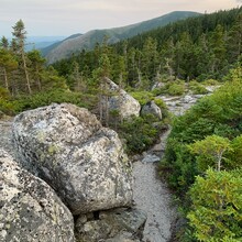Erica Notini, Robert Rives - Wild River Loop (NH)