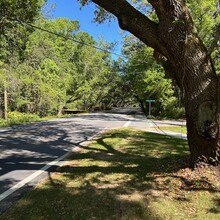 Sofia Harnedy - Eastern Shore Trail