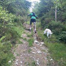 Alan Bateson - Wales Coastal Path & Offa's Dyke Trail