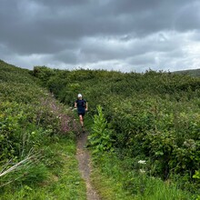 Guy Landon - Isle of Wight Coastal Path (UK)