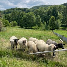 Fabian Metz, Mareike Metz - Die Hochrhönrunde (Germany)