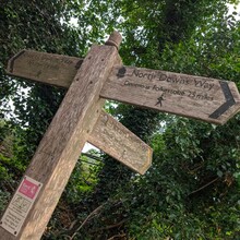 Carly Evans - North Downs Way Loop