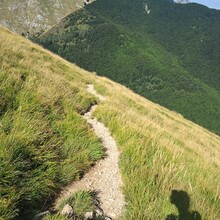 Vincenzo Tosi - The Versilia ascent (Italy)