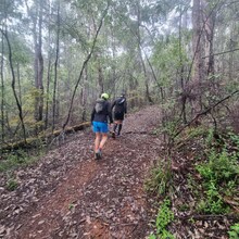 Aaron Young - Bibbulmun Track