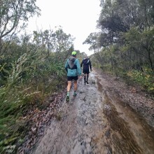 Aaron Young - Bibbulmun Track