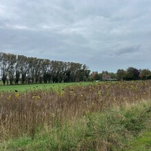 Olivier Dupont - Kortrijk-Oostende (Belgium)