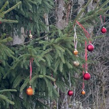 Fabian Metz, Mareike Metz - Extratour Kreuzbergtour