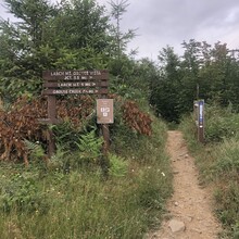 Allison Moran - Tarbell Trail (WA)