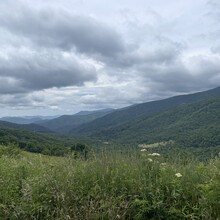 Ashley Goodman - Appalachian Trail: Roan Mountain Highlands (TN)