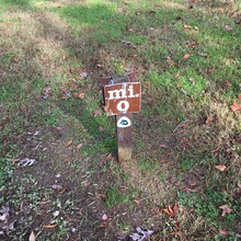 Marisa Cummings - Mount Vernon Trail (VA)