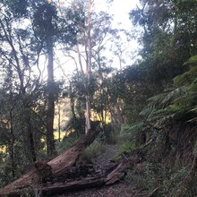 Rohan Ashton - Kangaroo Valley Loop