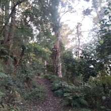 Rohan Ashton - Kangaroo Valley Loop