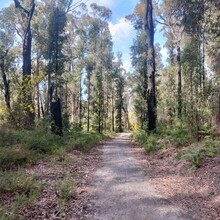 Rohan Ashton - Kangaroo Valley Loop