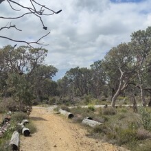 Harmony Waite - Coastal Plain Trail