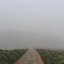 Axel Karst - Burgensteig Bergstrasse (Germany)