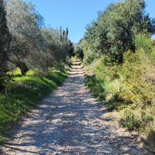 Bert Luykx - Corfu Trail - S-N - Long Route