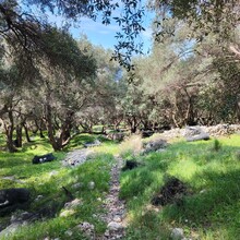 Bert Luykx - Corfu Trail - S-N - Long Route