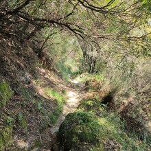 Bert Luykx - Corfu Trail - S-N - Long Route