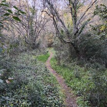 Bert Luykx - Corfu Trail - S-N - Long Route