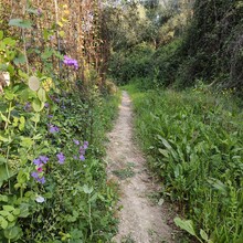 Bert Luykx - Corfu Trail - S-N - Long Route