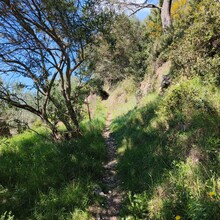 Bert Luykx - Corfu Trail - S-N - Long Route