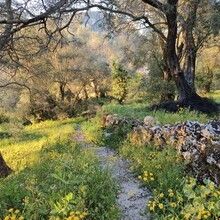Bert Luykx - Corfu Trail - S-N - Long Route