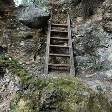 Bert Luykx - Corfu Trail - S-N - Long Route