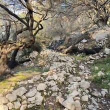Bert Luykx - Corfu Trail - S-N - Long Route