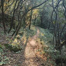 Bert Luykx - Corfu Trail - S-N - Long Route