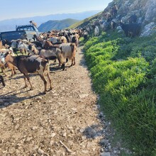 Bert Luykx - Corfu Trail - S-N - Long Route
