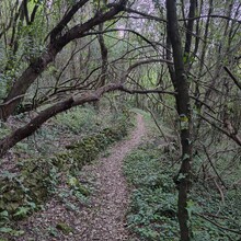 Bert Luykx - Corfu Trail - S-N - Long Route