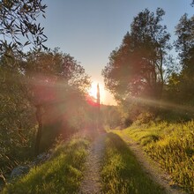Bert Luykx - Corfu Trail - S-N - Long Route